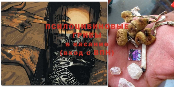 кристаллы Алзамай